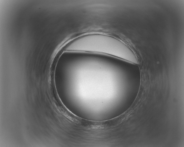 X0000080750344200612151003