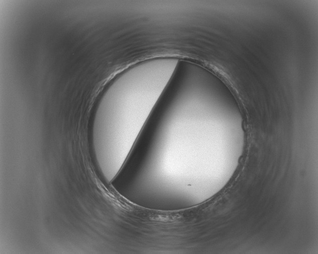 X0000080750345200612151003