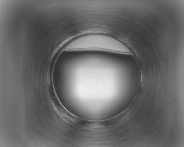 X0000080750348200612151003