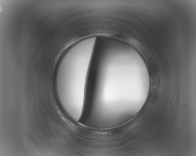 X0000080750349200612151003