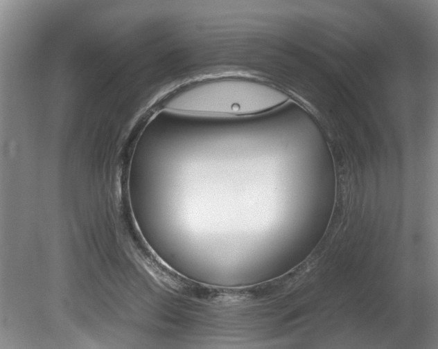 X0000080750350200612151003