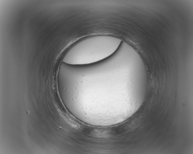 X0000080750351200612151003