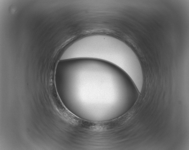 X0000080750356200612151004