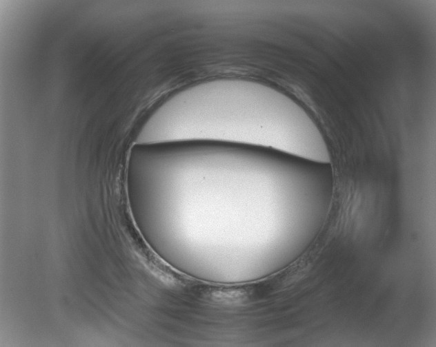 X0000080750357200612151004