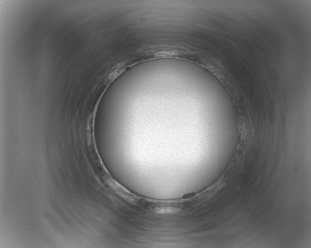 X0000080750360200612151004