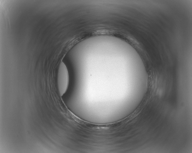 X0000080750361200612151004