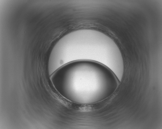 X0000080750362200612151004