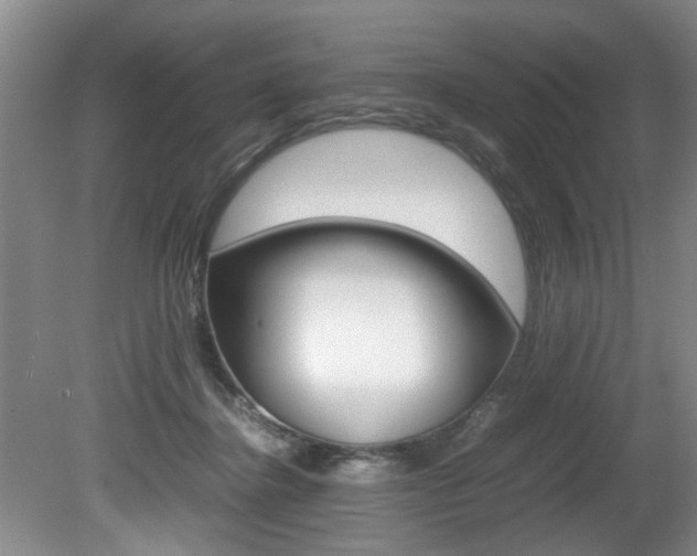 X0000080750364200612151004