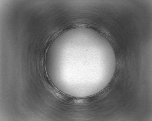 X0000080750365200612151004