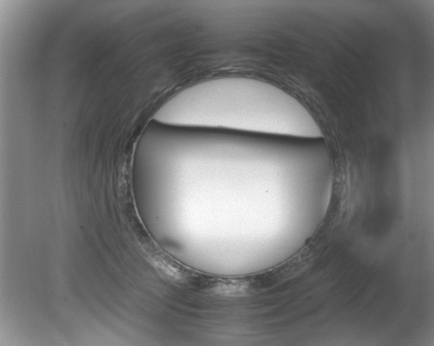 X0000080750369200612151004