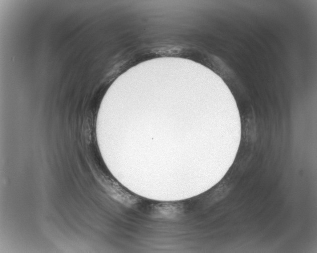 X0000080750370200612151004