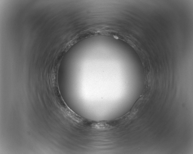 X0000080750372200612151004