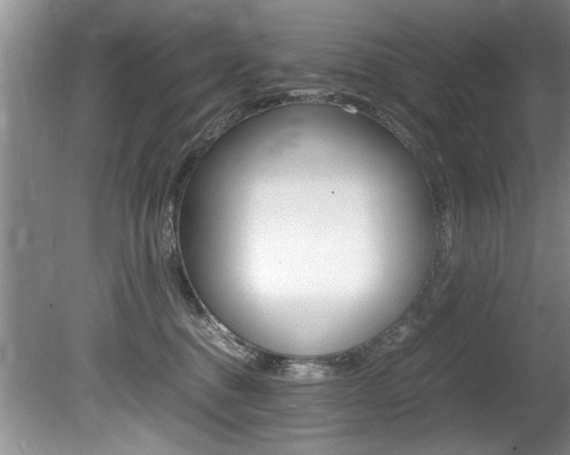 X0000080750376200612151004