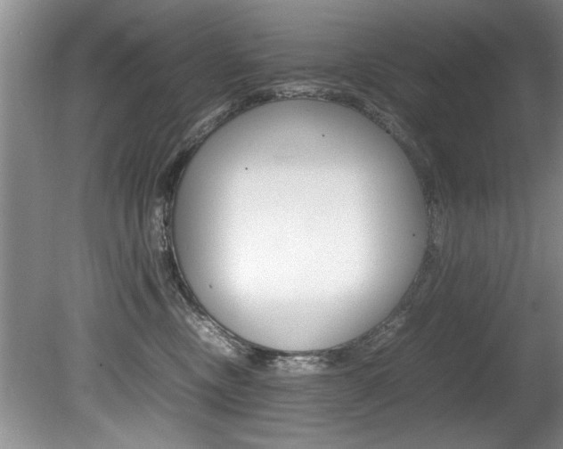 X0000080750378200612151004