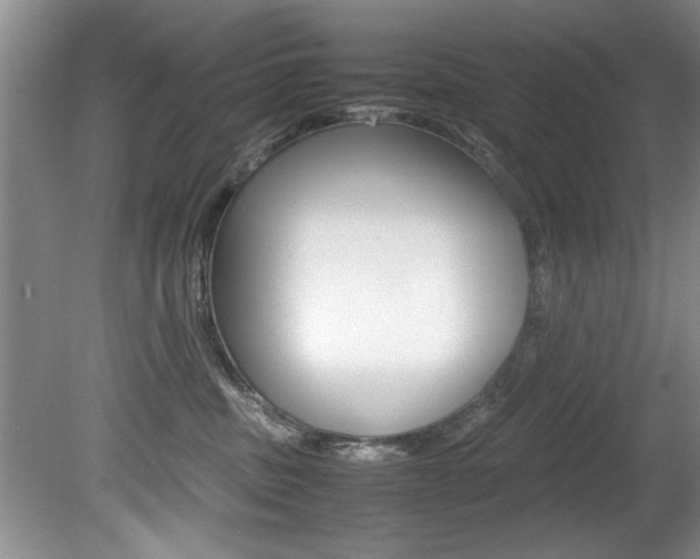 X0000080750379200612151004