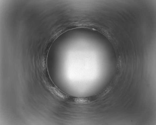 X0000080750380200612151004