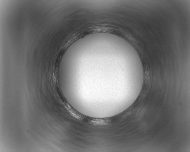 X0000080750381200612151004