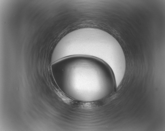 X0000080750382200612151004