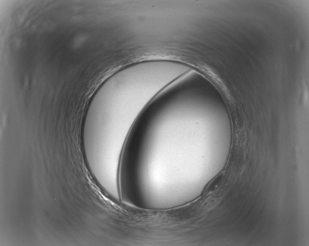 X0000080750385200612151003