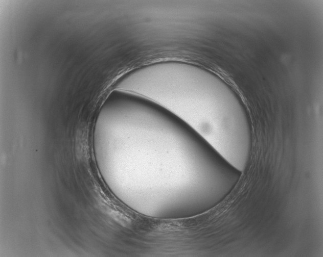 X0000080750386200612151003