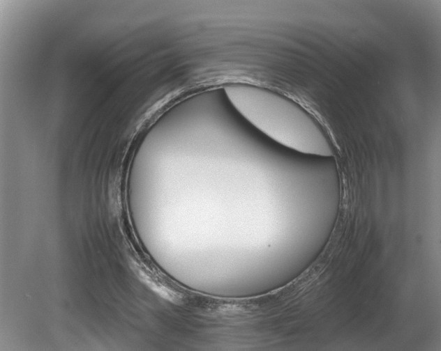 X0000080750390200612151003
