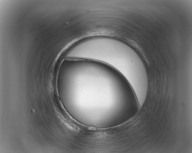 X0000080750392200612151003