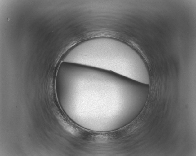 X0000080750394200612151003