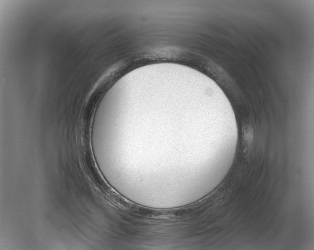 X0000080750396200612151003