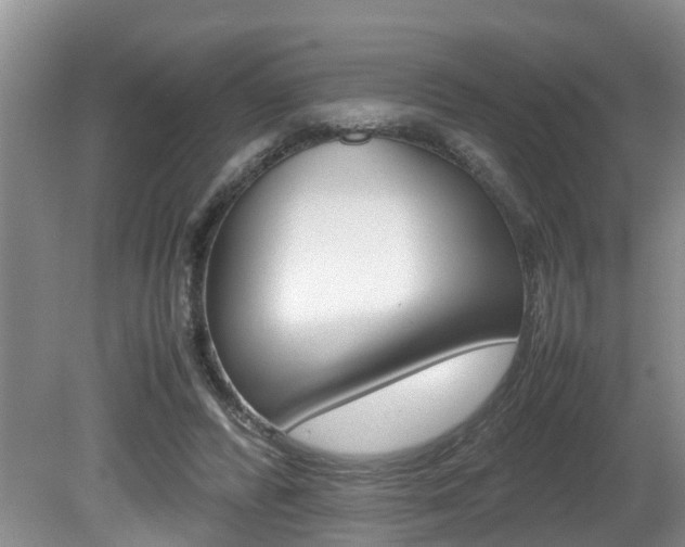 X0000080750400200612151003