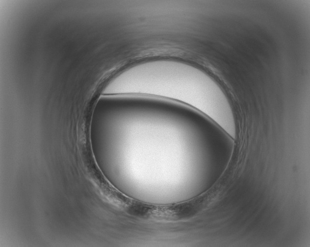 X0000080750403200612151003