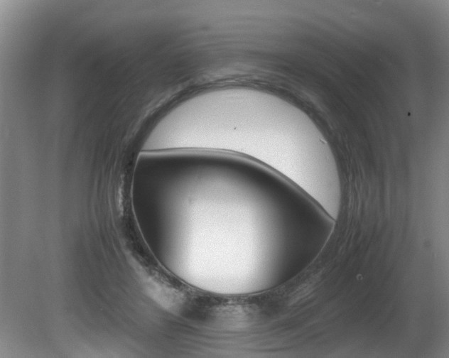 X0000080750404200612151003
