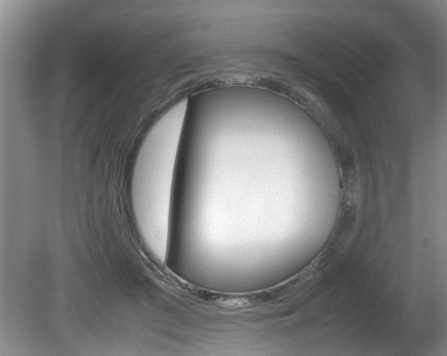 X0000080750409200612151003