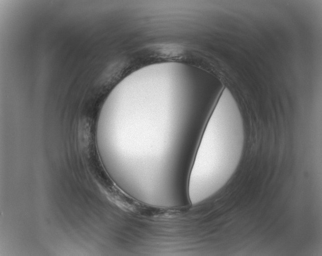 X0000080750412200612151003