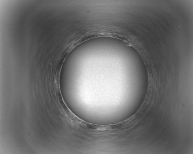 X0000080750415200612151003
