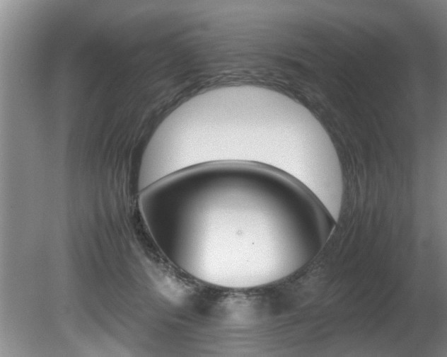 X0000080750416200612151003