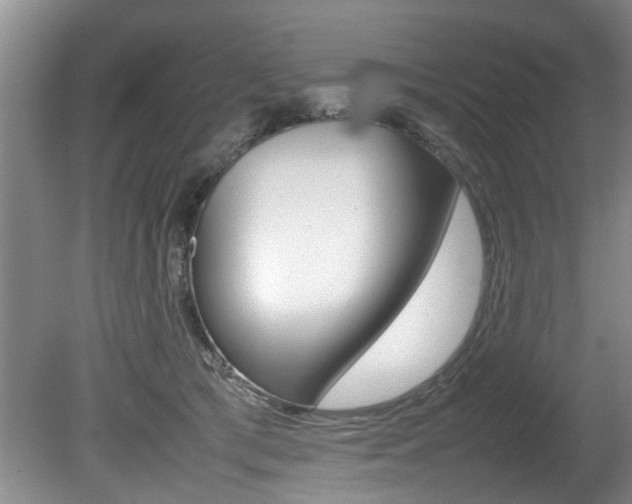 X0000080750417200612151003