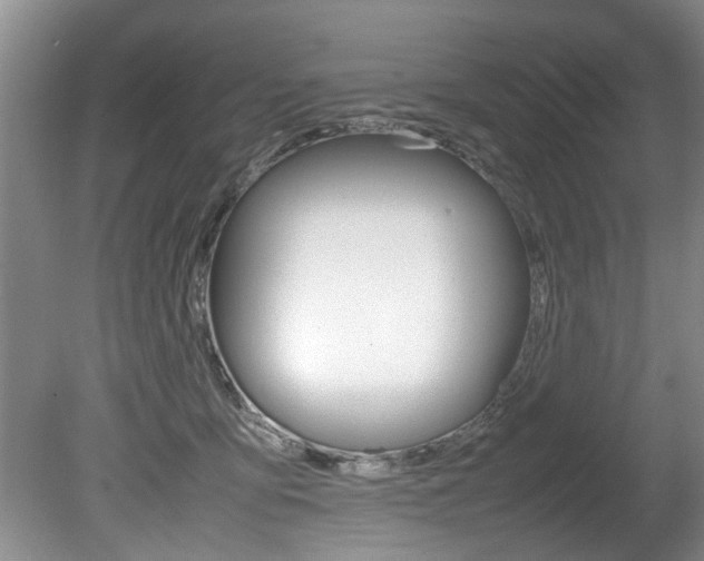 X0000080750419200612151003