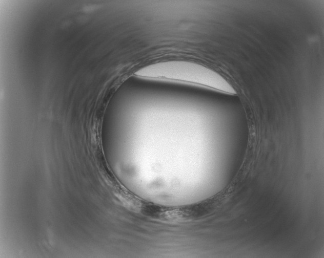 X0000080750423200612151003