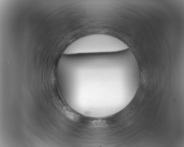 X0000080750426200612151003