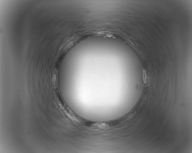 X0000080750427200612151003
