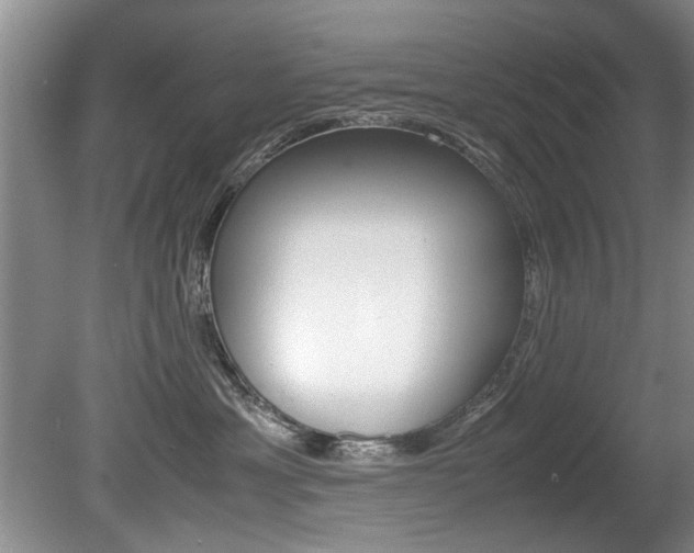 X0000080750429200612151002