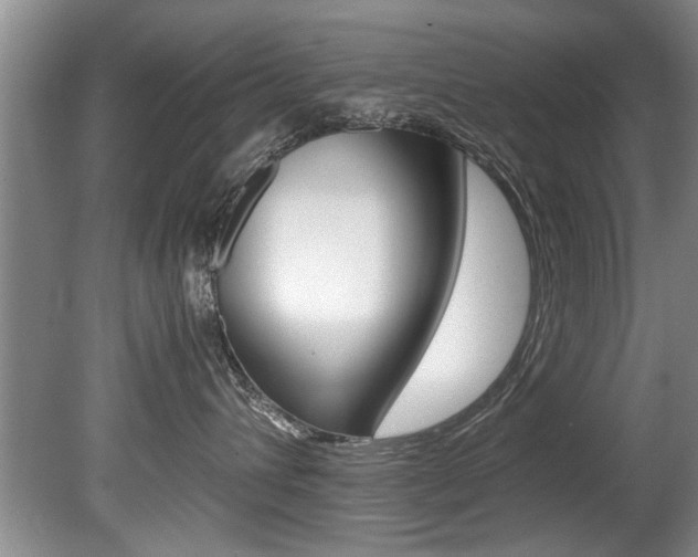 X0000080750432200612151002