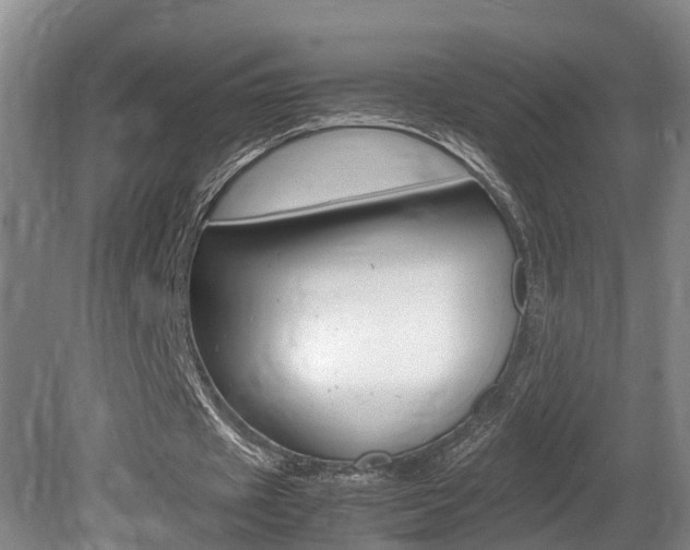 X0000080750433200612151002