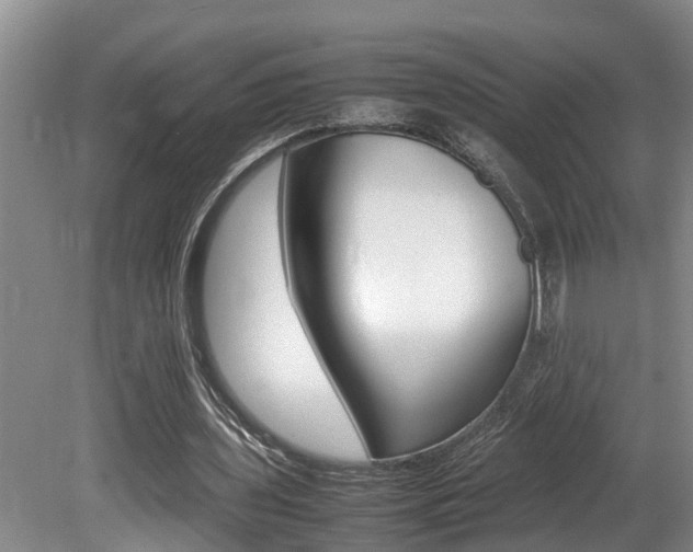 X0000080750435200612151002