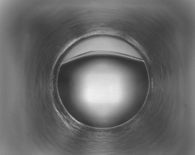 X0000080750436200612151002