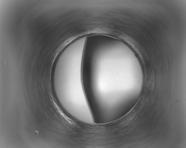 X0000080750437200612151002