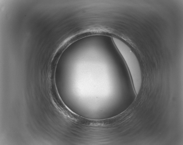 X0000080750440200612151002