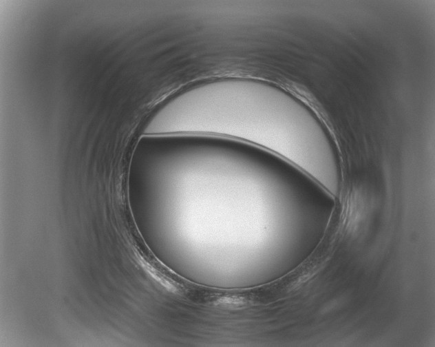 X0000080750441200612151002