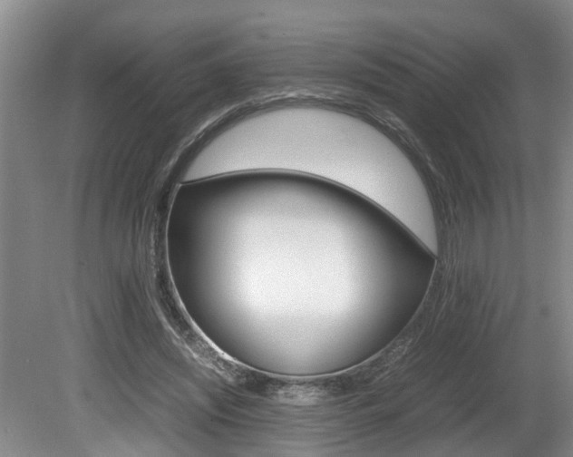 X0000080750444200612151002