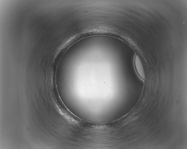 X0000080750446200612151002